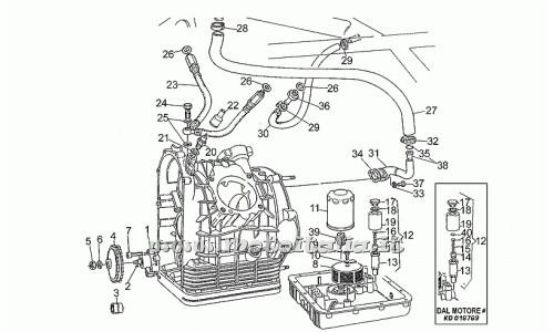 ricambio per Moto Guzzi California EV - Rosetta 14,5X20X1 - GU95100523